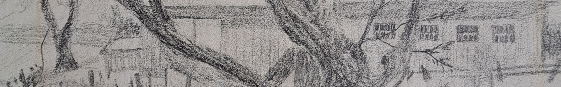 oeuvre dessin